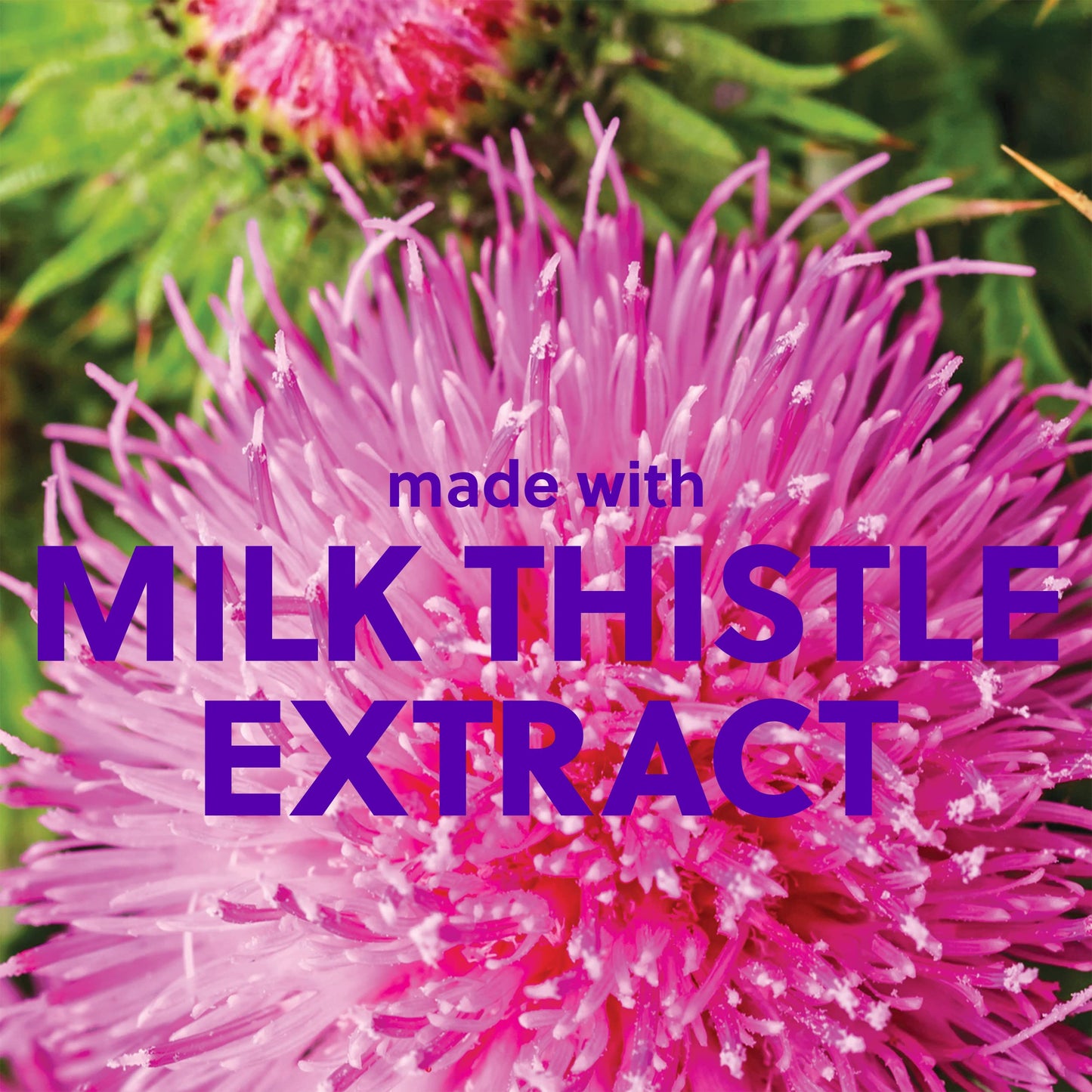 Tree Hut Birthday Cake Sugar Scrub | Exfoliating Shea Body Polish